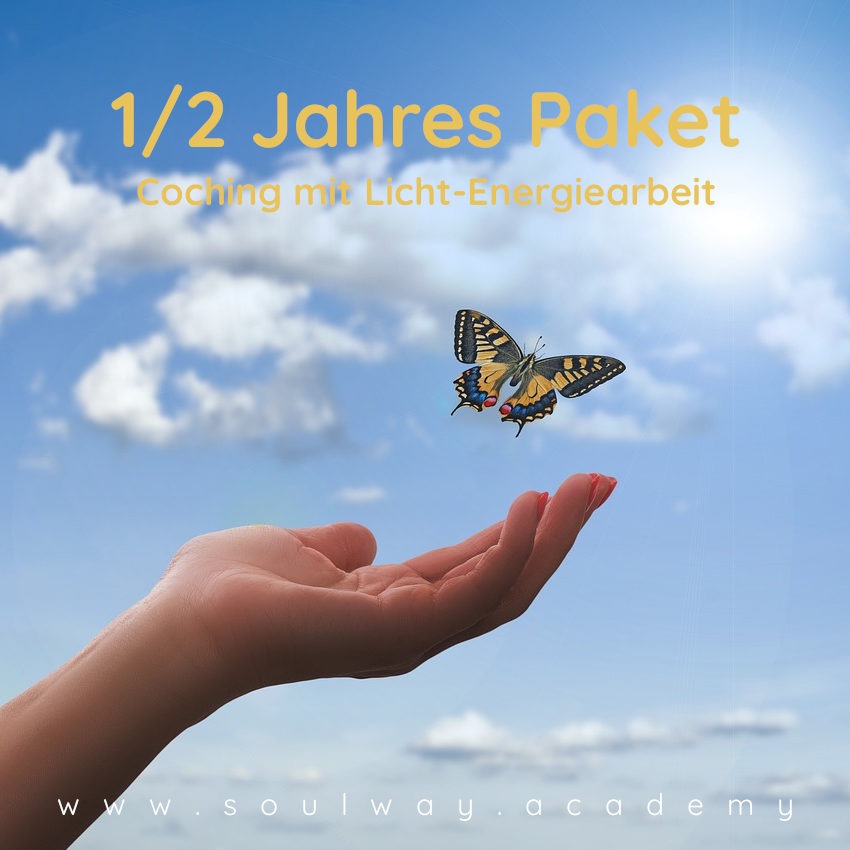 1/2 Jahres Begleitung