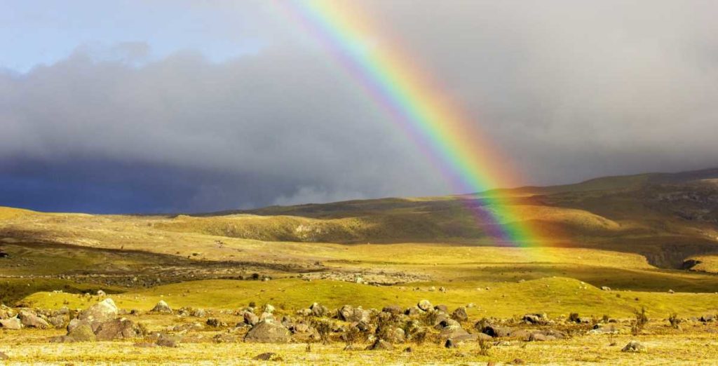 Regenbogen